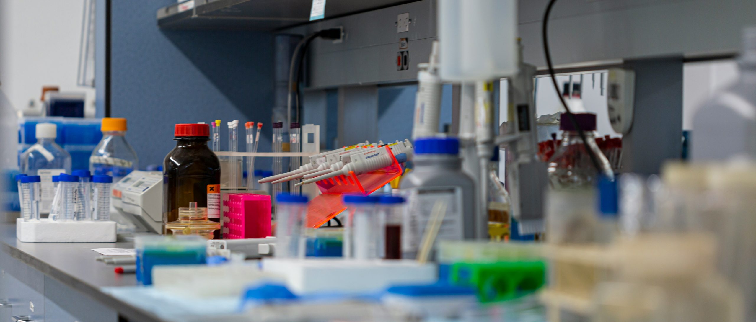 adam bezer z w9kovawyk unsplash 1